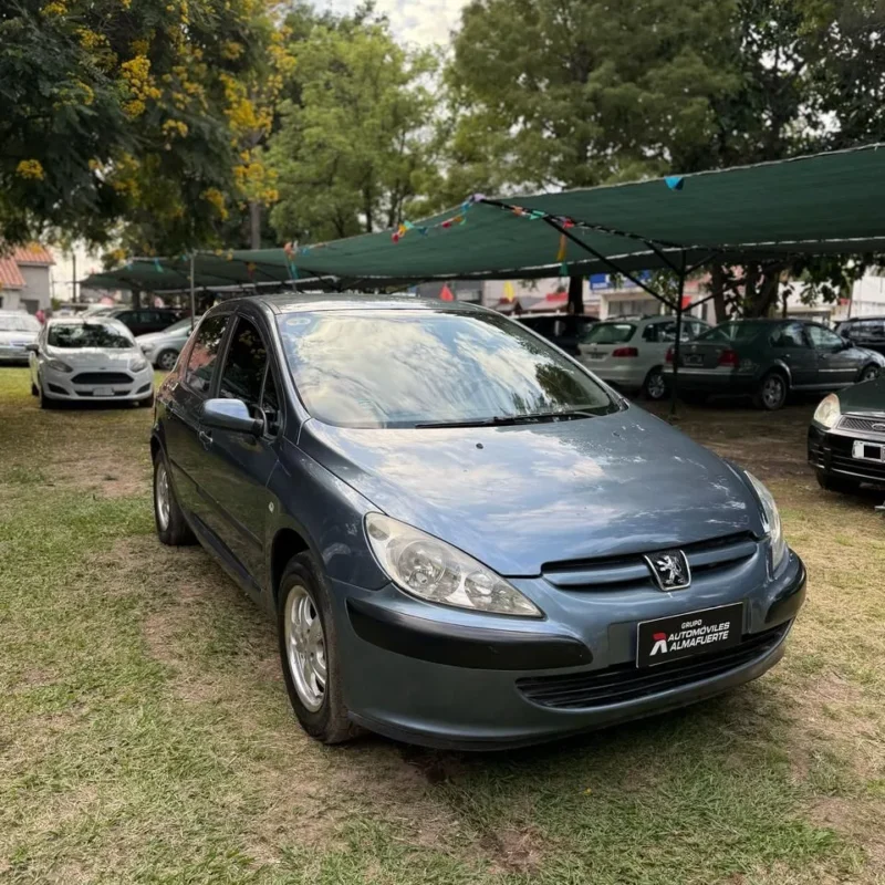 Peugeot 307 1.6 XS 5P 2005